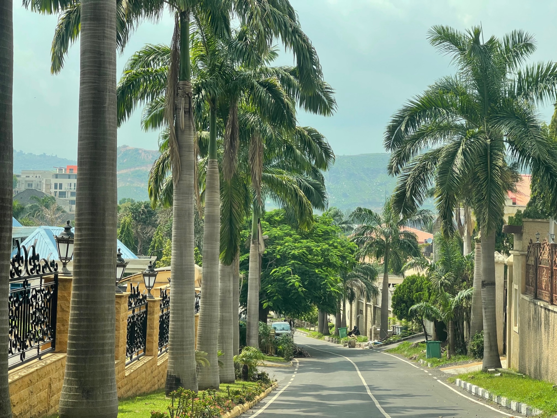 Palm-lined residential street in Maitama, Abuja